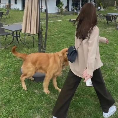 旺角风云