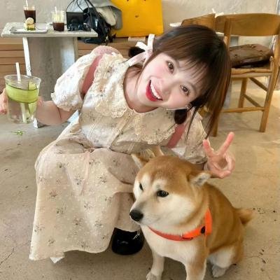 最后一次自由